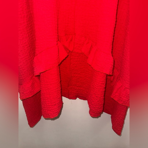 Vibrant Red Textured Dress - Picture 6 of 6